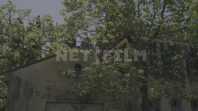 Abkhazia, Sukhum, spring, day. Panorama of trees, buildings, and a street