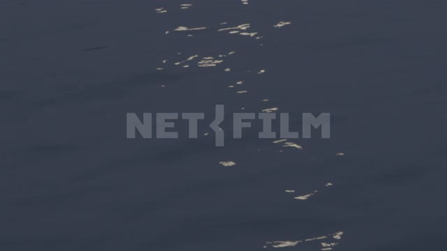 Abkhazia, sea, night, moonlit path on the water