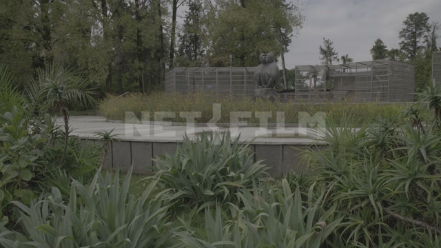Abkhazia, Sukhumi. The monkey nursery grounds. The enclosures and a monument to the monkeys are