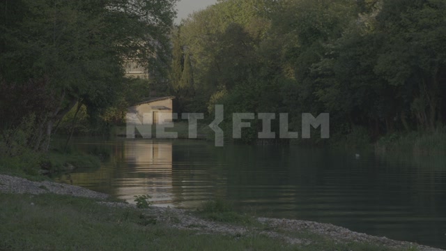 Abkhazia, Sukhum, summer, day, park, pond, trees