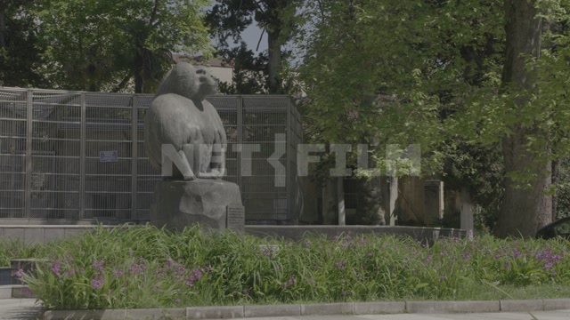 Abkhazia, Sukhumi, monkey nursery, enclosures, cages, monkey sculpture