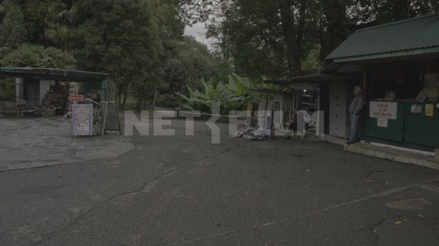 Abkhazia, Sukhum, territory of the monkey nursery