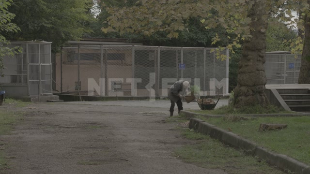 Abkhazia, Sukhumi, monkey nursery, monkeys, employee cleaning the area