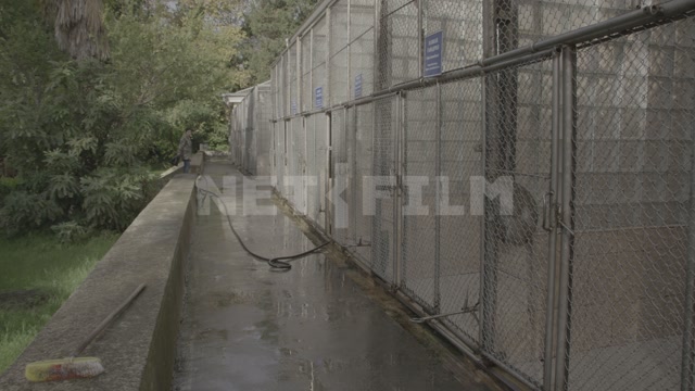 Abkhazia, Sukhumi, monkey nursery, monkeys in enclosures. Nursery staff cleaning the enclosures