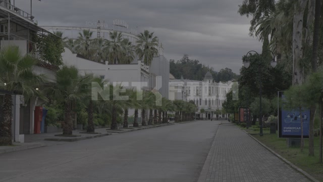 Абхазия, Сухум, вечер, пасмурно, центр города, променад, пальмы