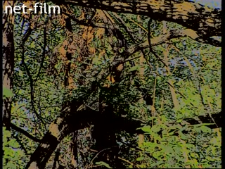 Фильм Гиблое место. (2003)