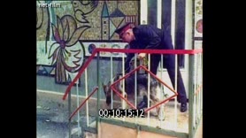 Кадр видео