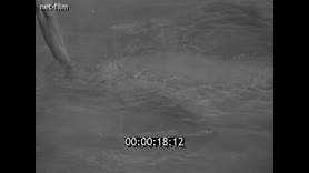 Footage frame