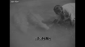 Footage frame