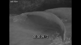 Footage frame