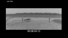 Footage frame