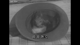 Footage frame