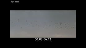 Footage frame
