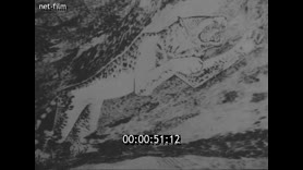 Footage frame