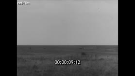 Footage frame