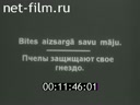 Кадр видео