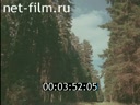 Кадр видео