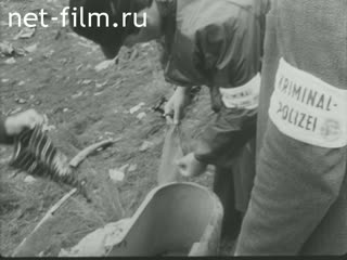 Новости Зарубежные киносюжеты №3311 (1973)