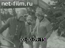 Кадр видео