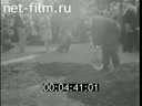 Кадр видео