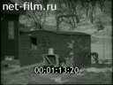 Foreign newsreels №3899