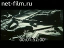 Footage frame