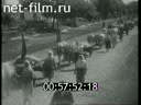 Footage frame