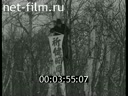 Кадр видео