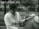 Кадр видео