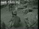 Foreign newsreels №2652