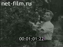 Кадр видео