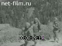 Кадр видео