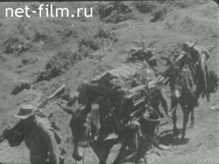 Новости Зарубежные киносюжеты №1134 (1965)