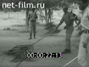 Кадр видео