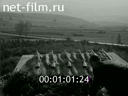 Кадр видео