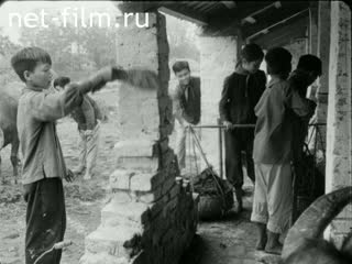 Новости Зарубежные киносюжеты №2131 (1969)