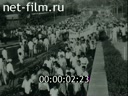 Кадр видео