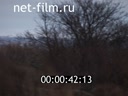 Footage frame