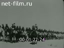 Foreign newsreels №3449