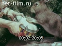 Кадр видео