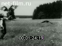 Кадр видео