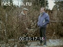 Кадр видео