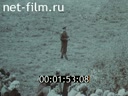 Кадр видео