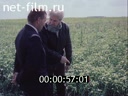 Кадр видео