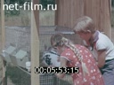 Кадр видео