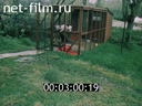 Footage frame