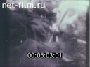 Footage frame