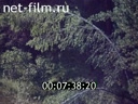 Footage frame