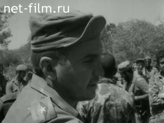 News Foreign newsreels №497 (1961)