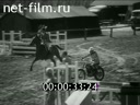 Foreign newsreels №3907